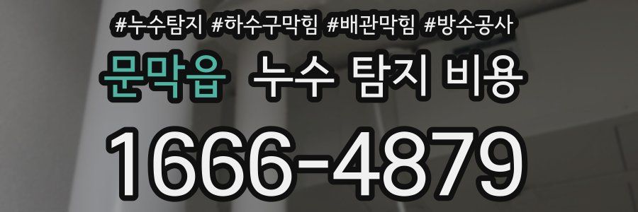 문막읍 누수 탐지 비용