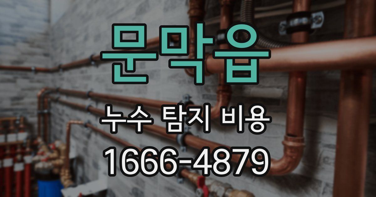 문막읍 누수 탐지 비용
