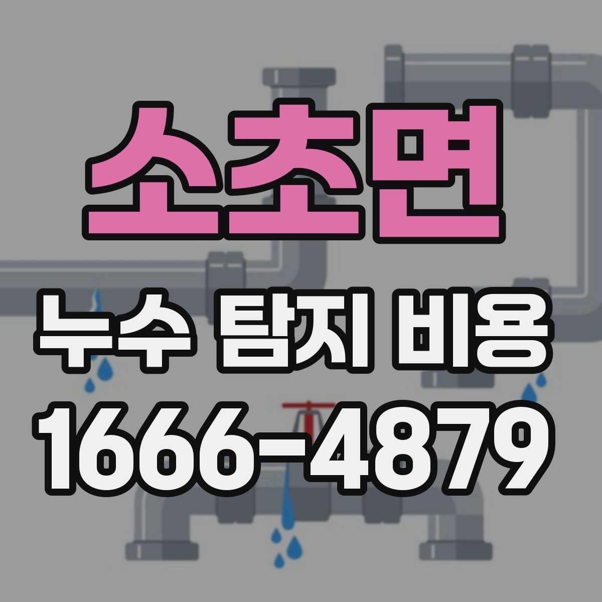 소초면 누수 탐지 비용
