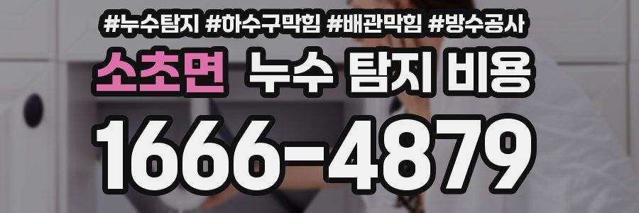 소초면 누수 탐지 비용