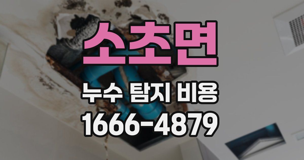 소초면 누수 탐지 비용
