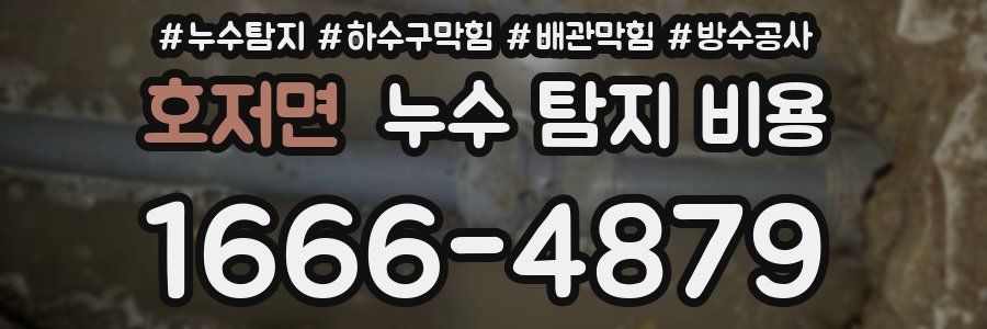 호저면 누수 탐지 비용