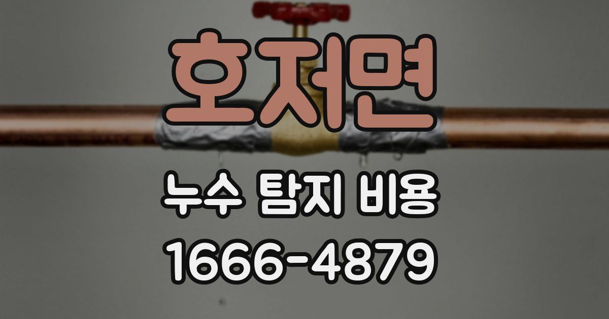 호저면 누수 탐지 비용