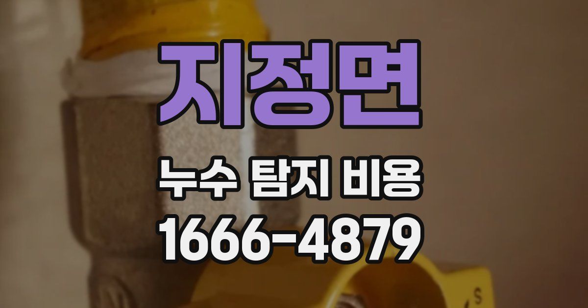 지정면 누수 탐지 비용