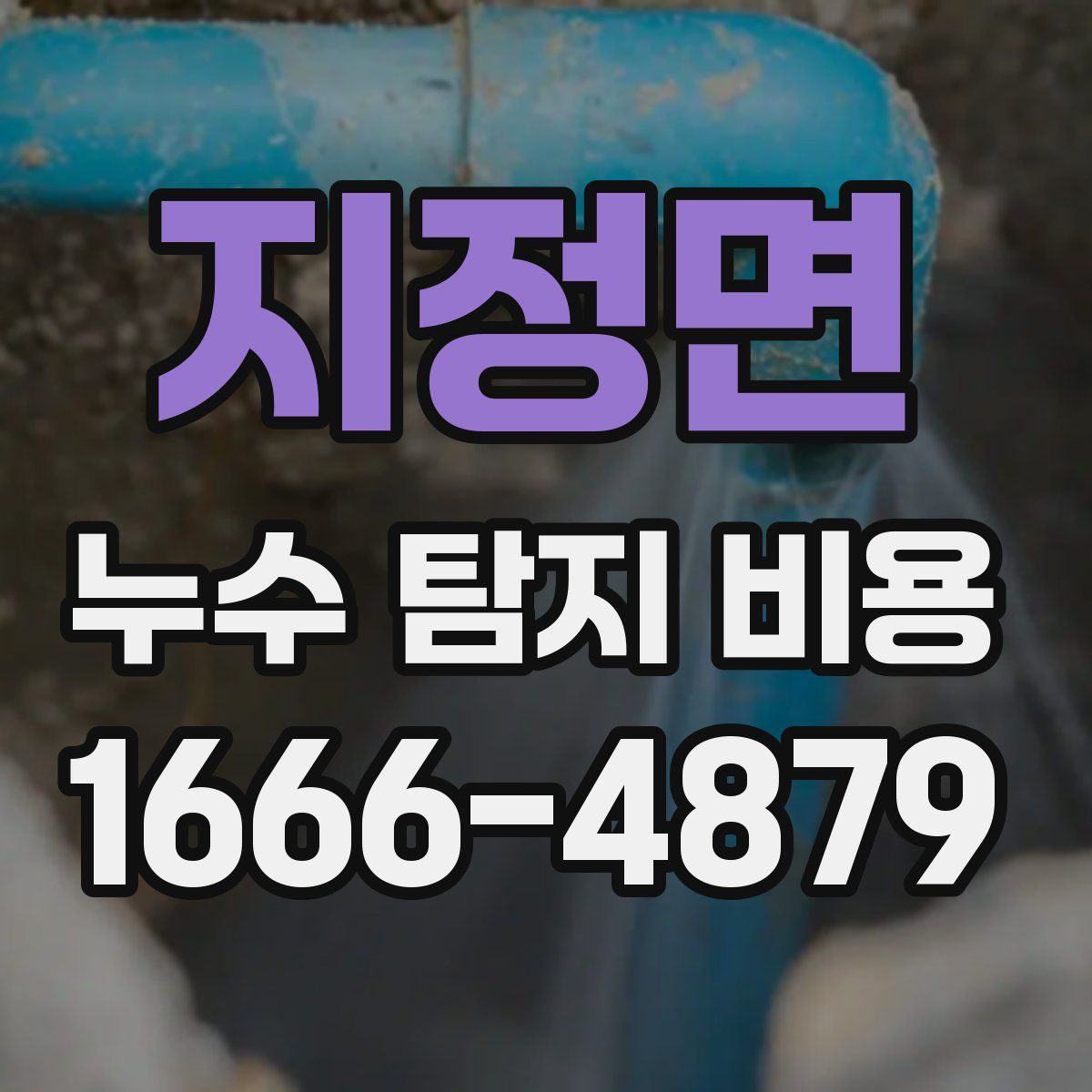 지정면 누수 탐지 비용