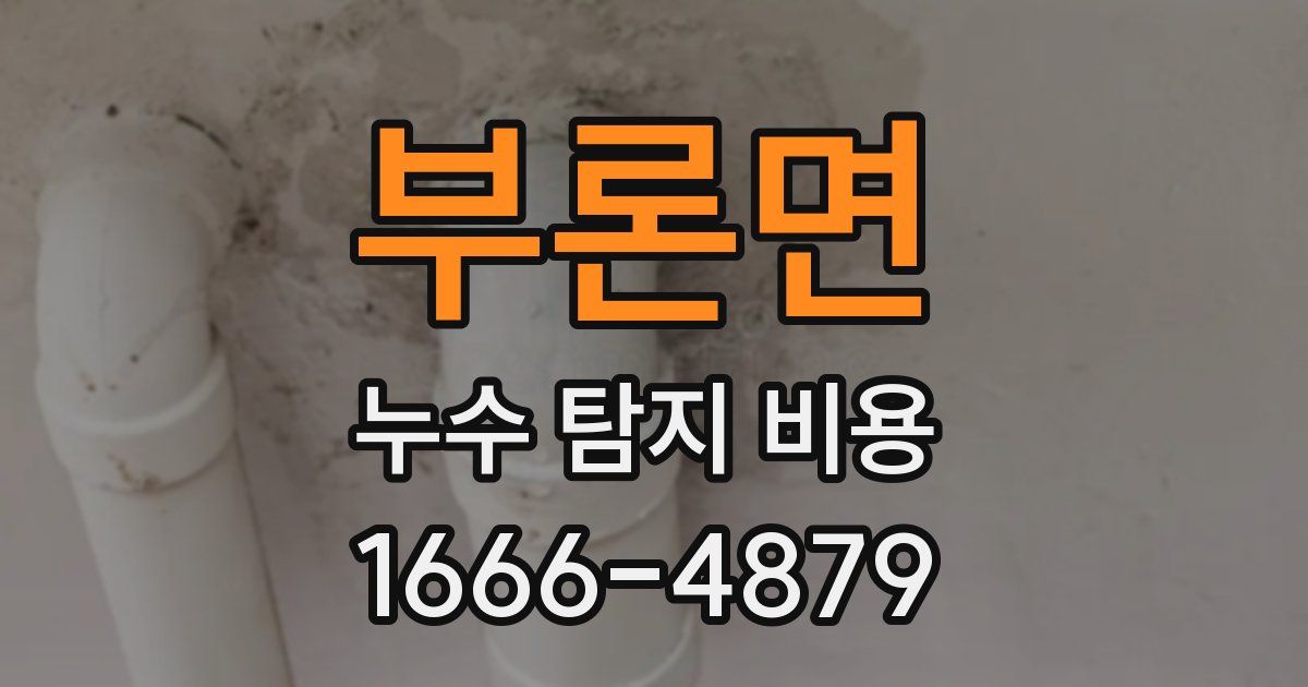 부론면 누수 탐지 비용