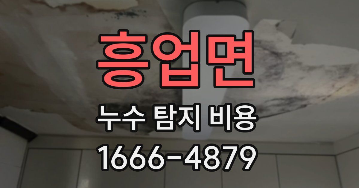 흥업면 누수 탐지 비용