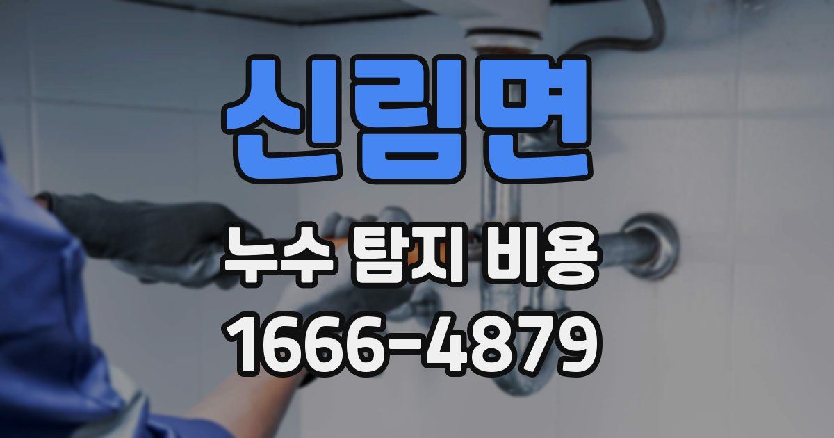 신림면 누수 탐지 비용