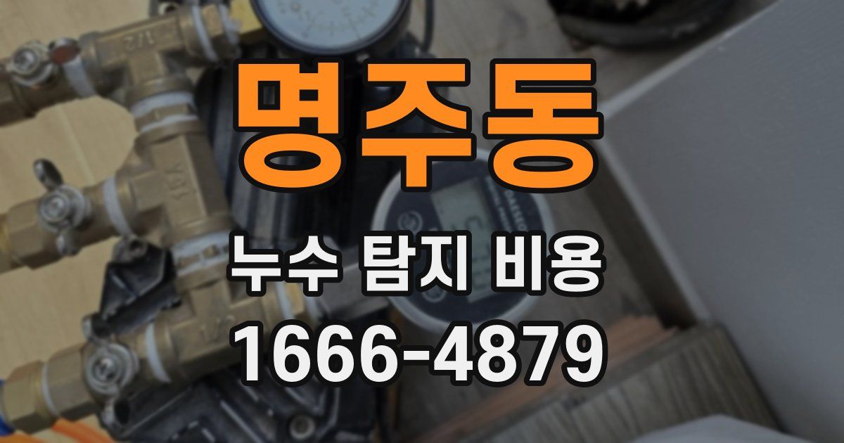명주동 누수 탐지 비용