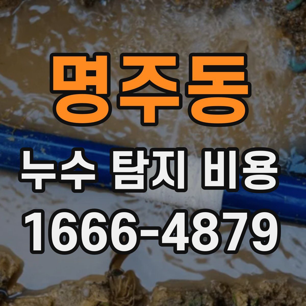 명주동 누수 탐지 비용