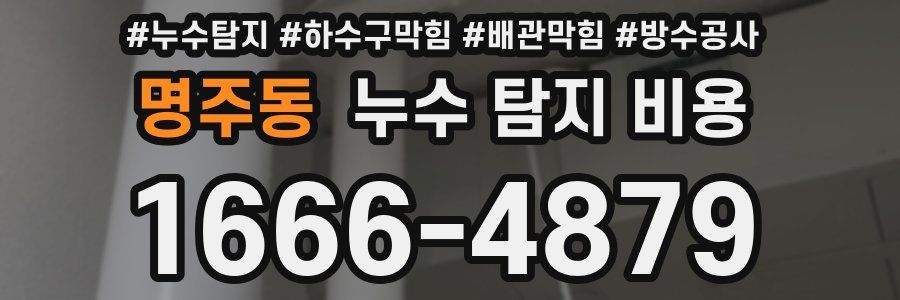 명주동 누수 탐지 비용