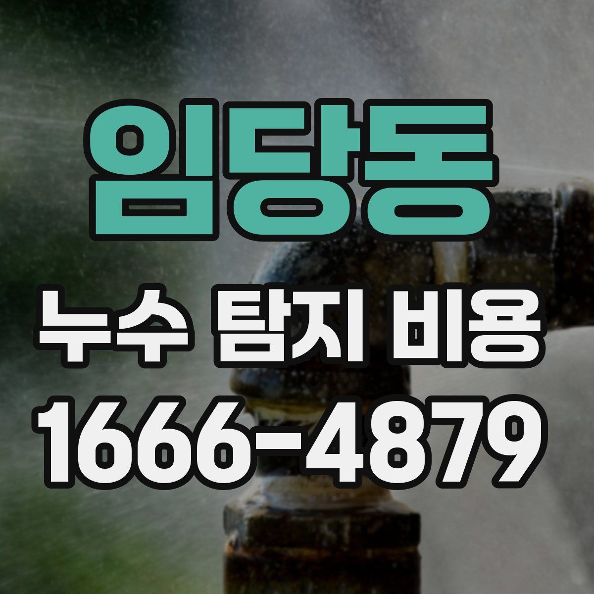 임당동 누수 탐지 비용