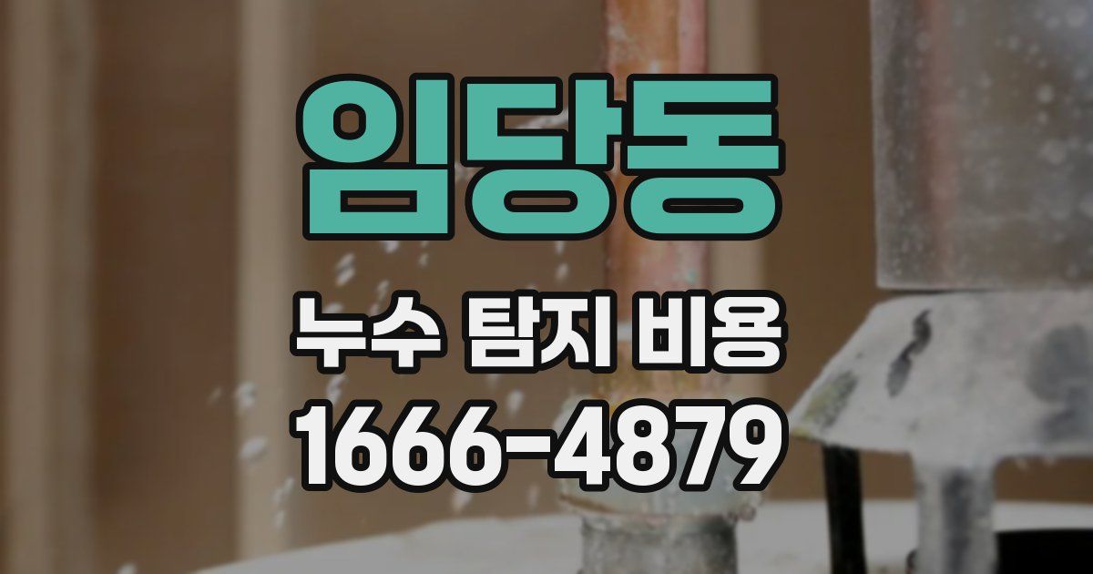 임당동 누수 탐지 비용