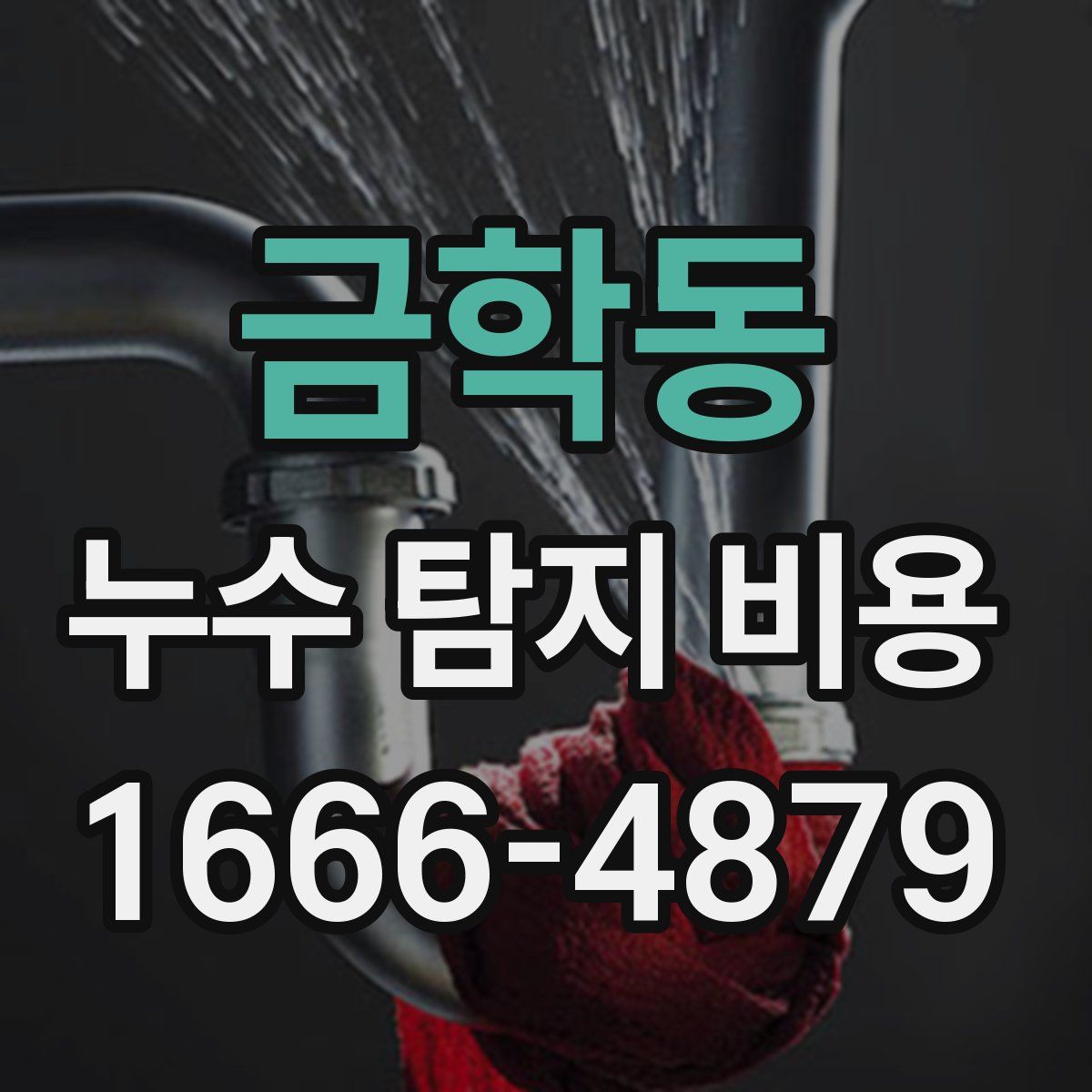 금학동 누수 탐지 비용