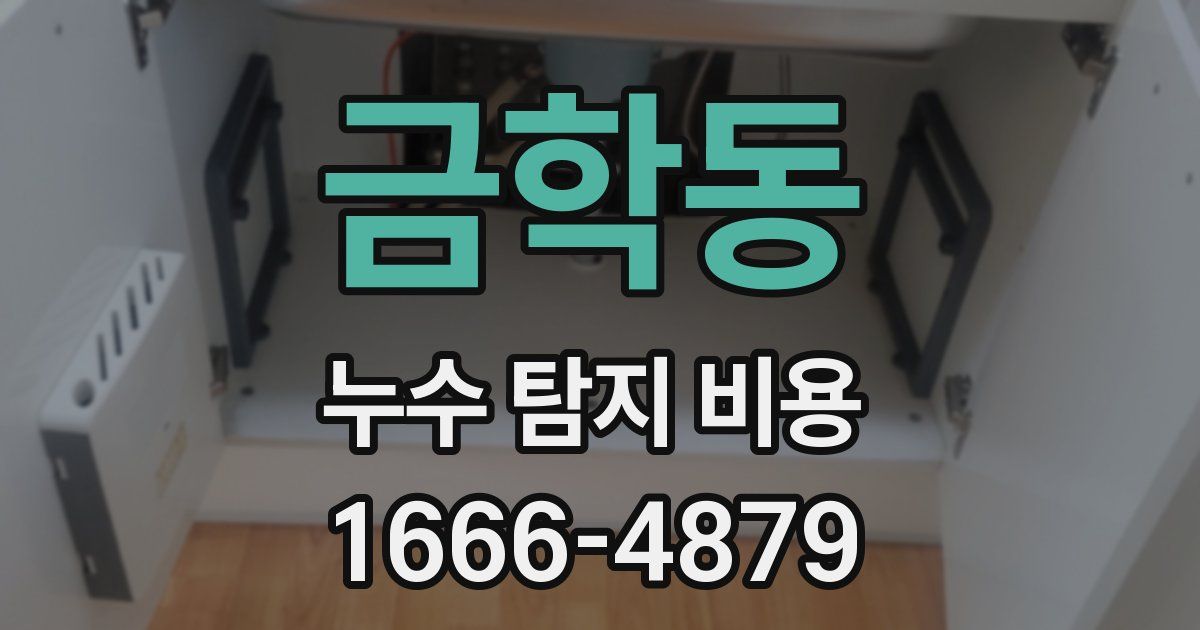 금학동 누수 탐지 비용