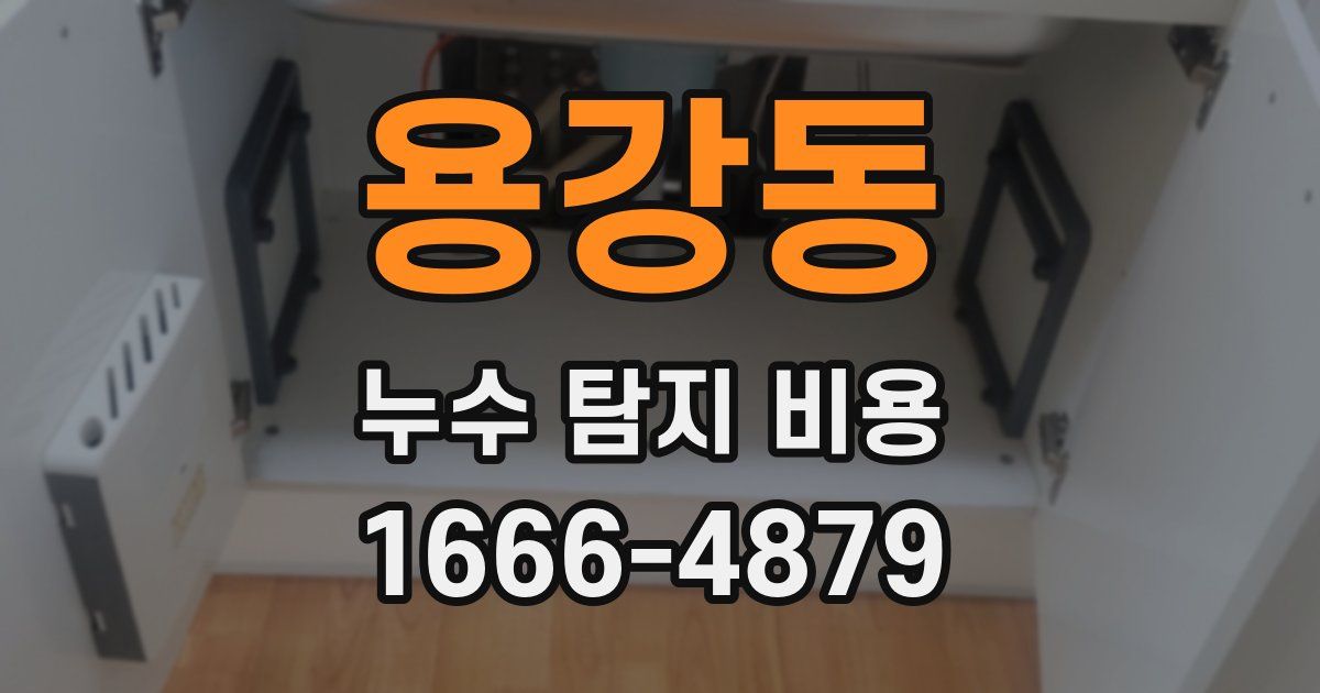 용강동 누수 탐지 비용
