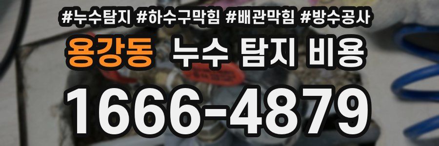 용강동 누수 탐지 비용