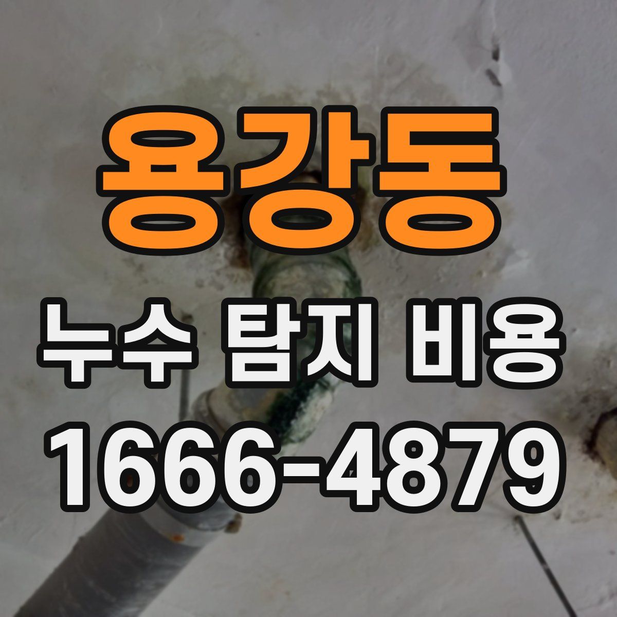 용강동 누수 탐지 비용