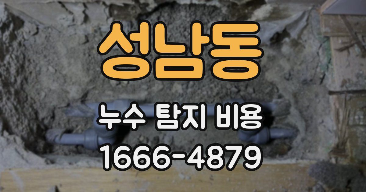 성남동 누수 탐지 비용