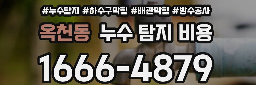 옥천동 누수 탐지 비용