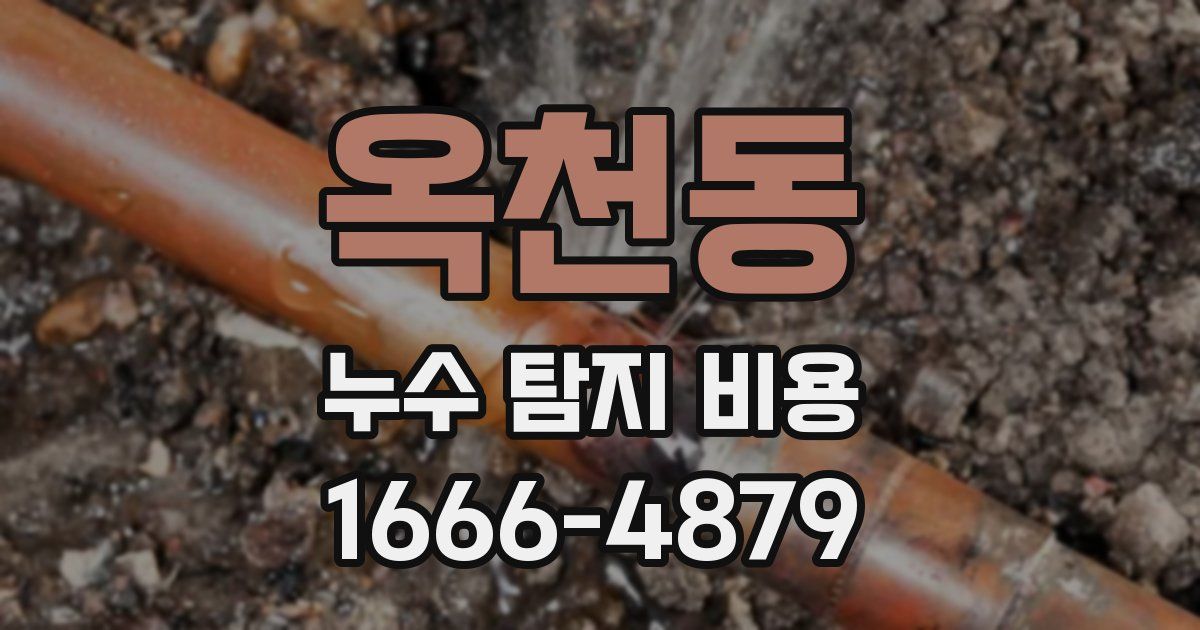 옥천동 누수 탐지 비용