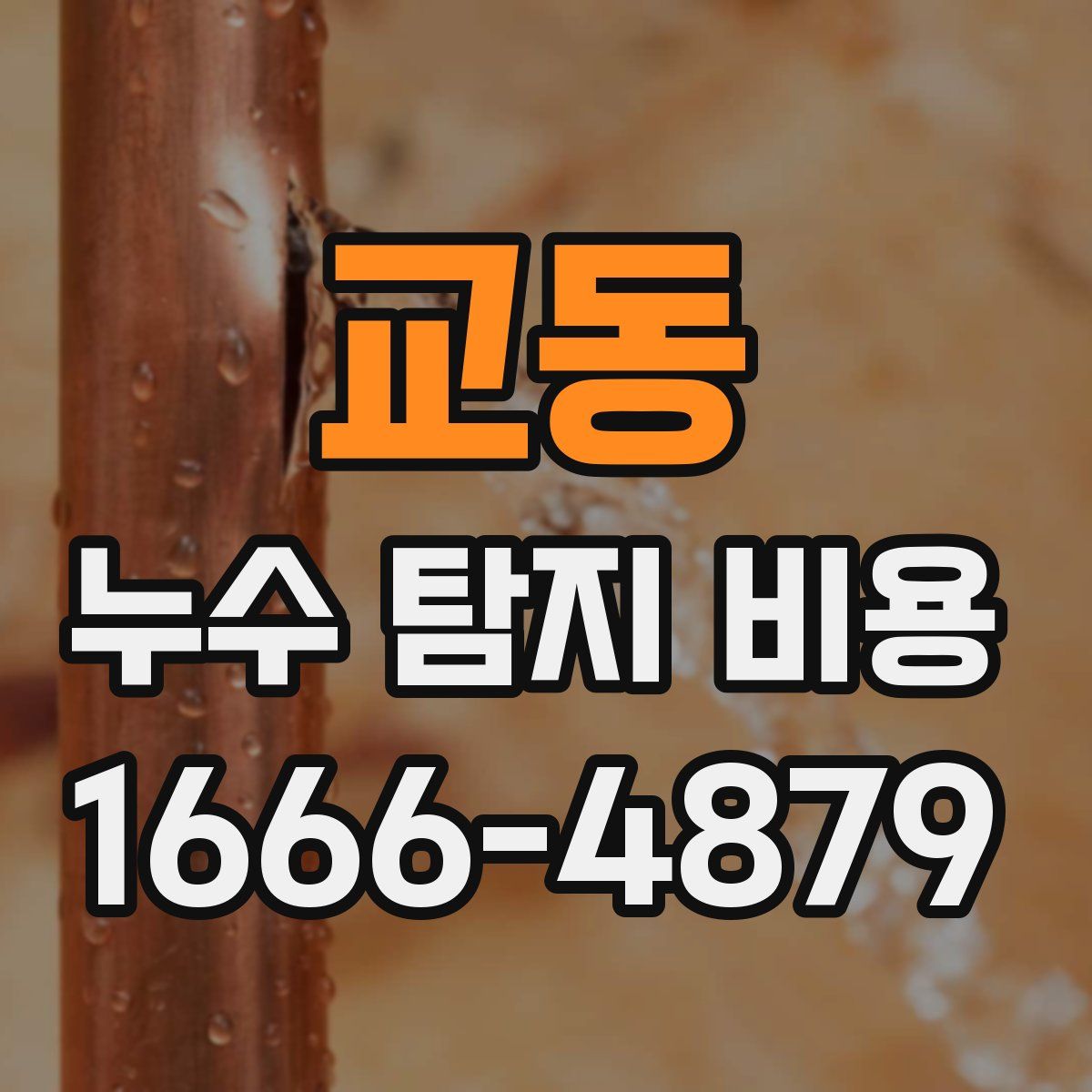 교동 누수 탐지 비용