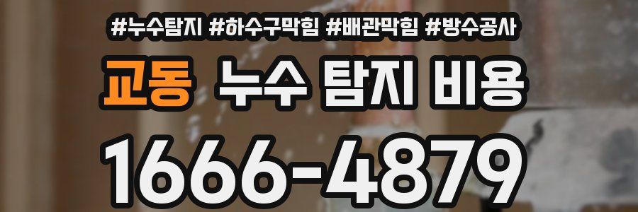 교동 누수 탐지 비용