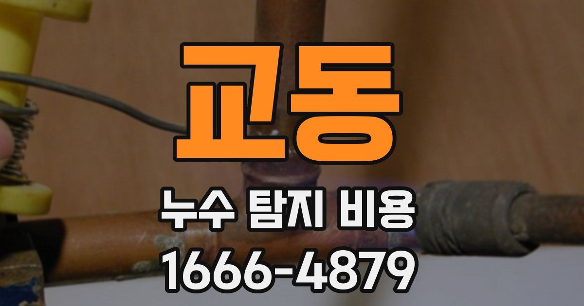 교동 누수 탐지 비용