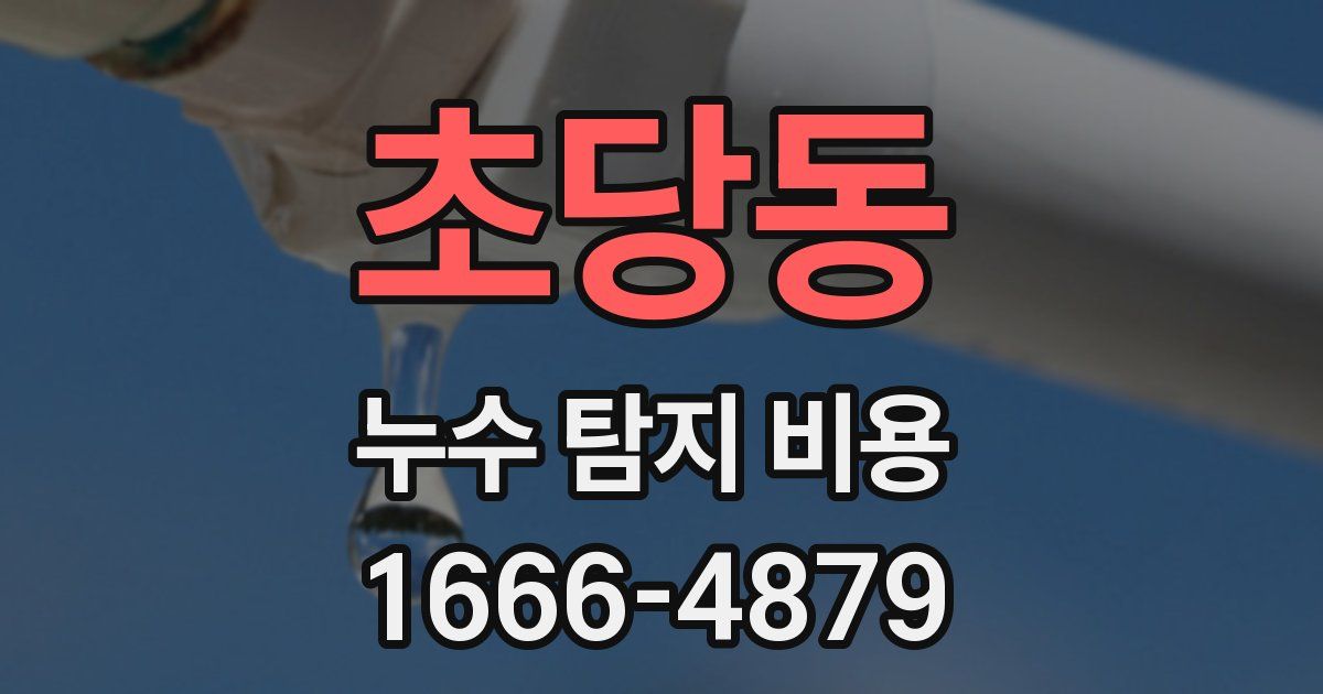 초당동 누수 탐지 비용