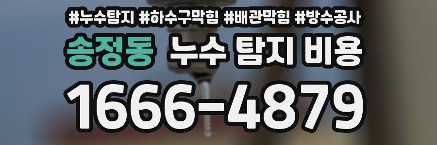 송정동 누수 탐지 비용