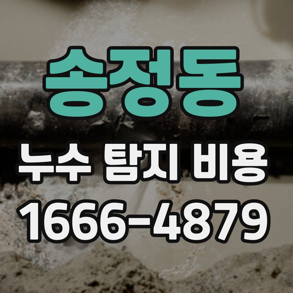 송정동 누수 탐지 비용