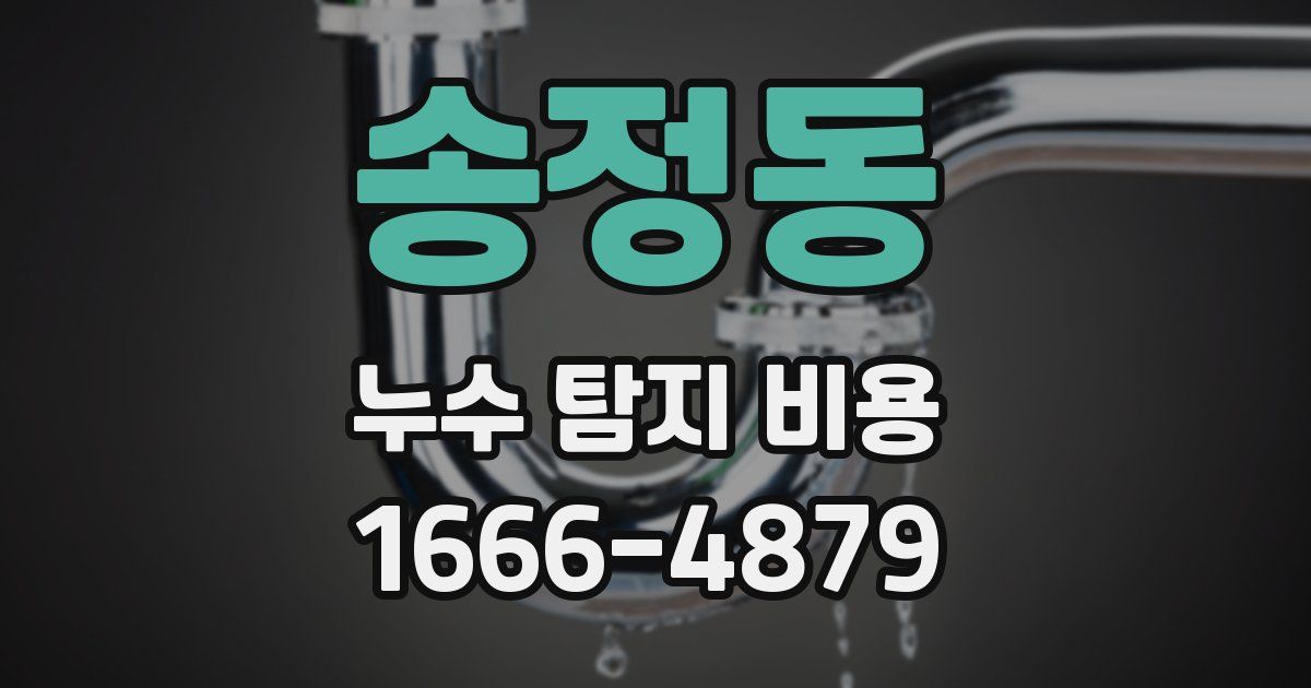 송정동 누수 탐지 비용