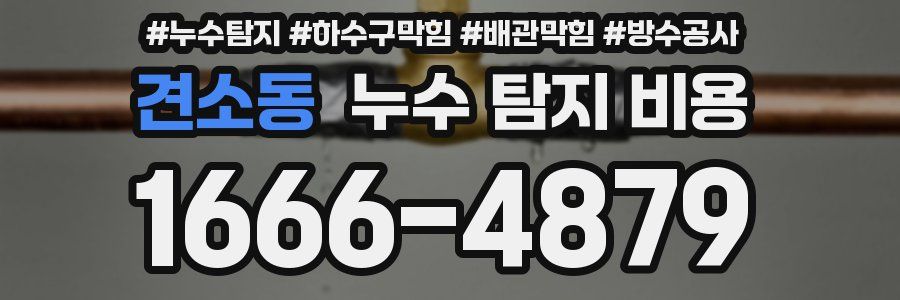 견소동 누수 탐지 비용