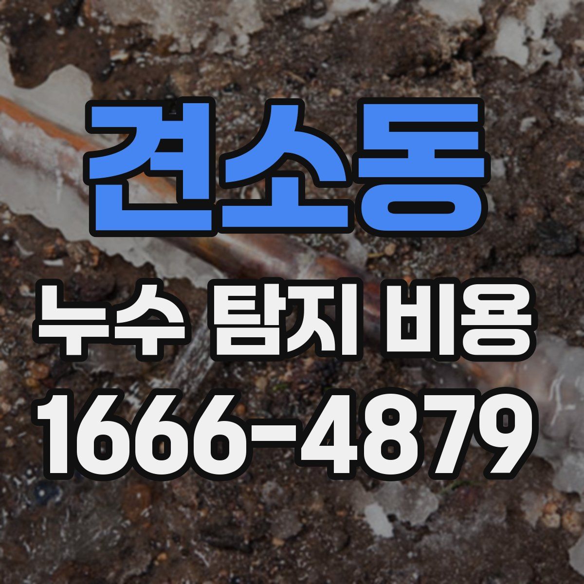 견소동 누수 탐지 비용