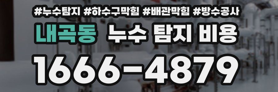 내곡동 누수 탐지 비용