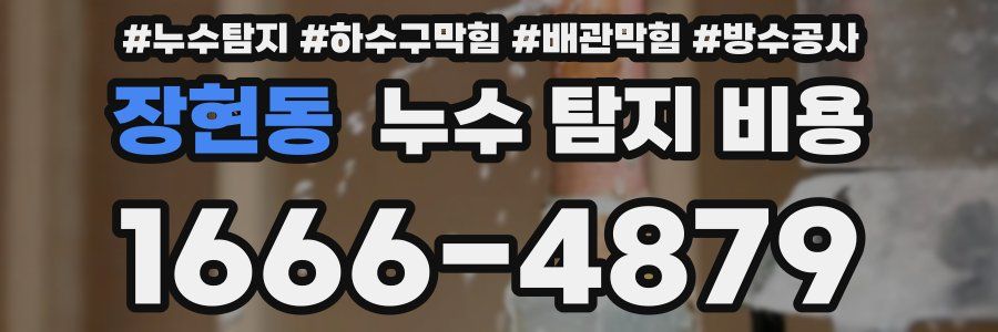 장현동 누수 탐지 비용