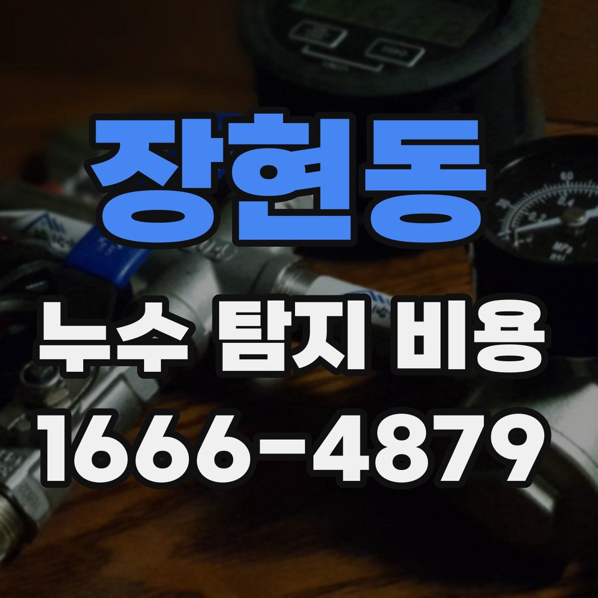 장현동 누수 탐지 비용