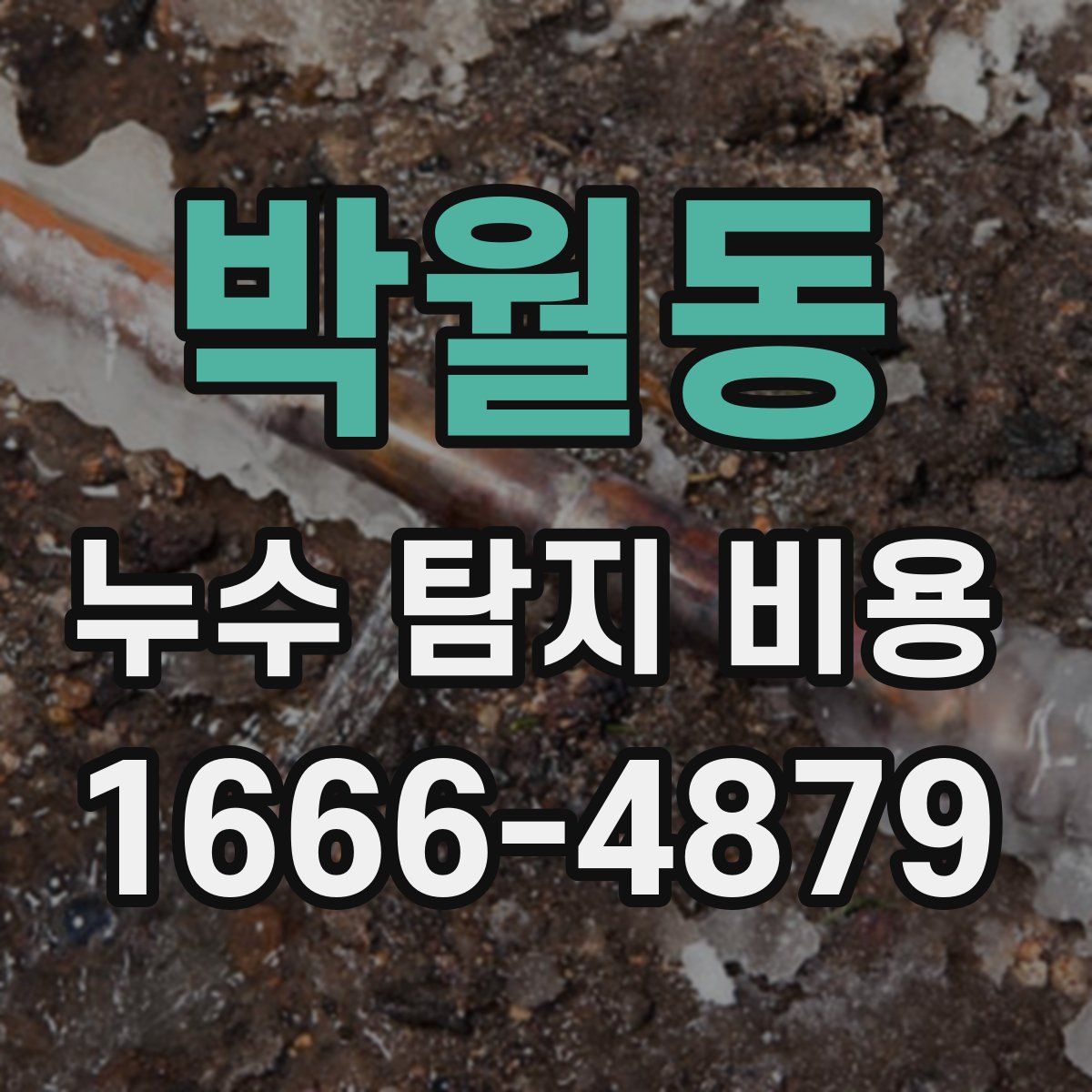 박월동 누수 탐지 비용