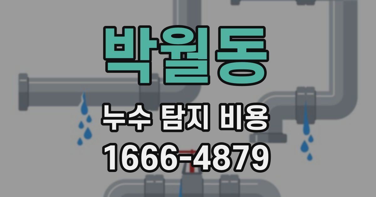 박월동 누수 탐지 비용
