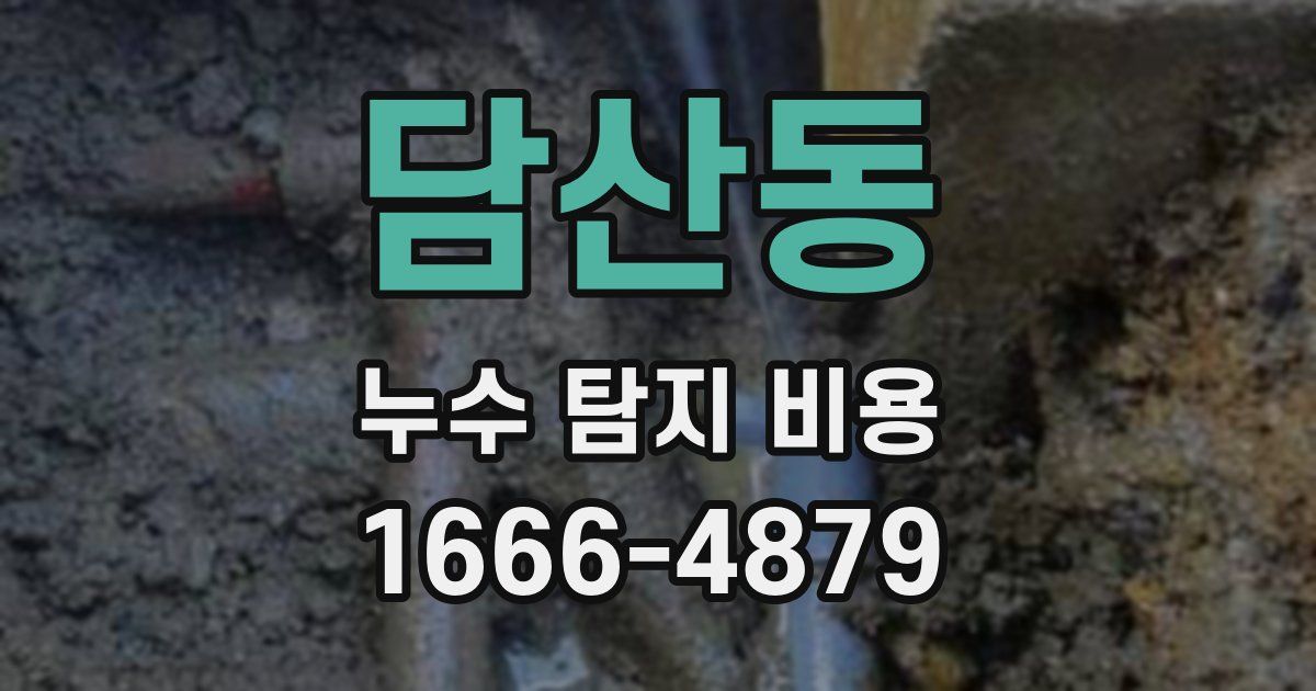 담산동 누수 탐지 비용