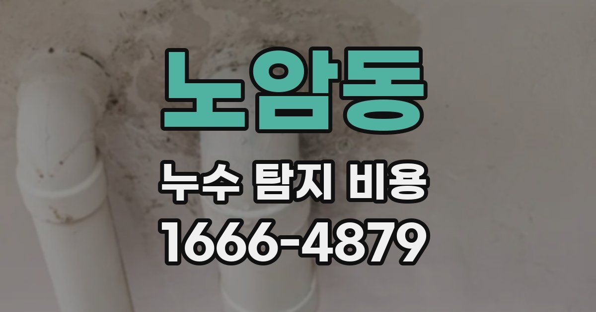 노암동 누수 탐지 비용
