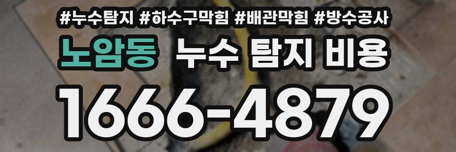 노암동 누수 탐지 비용