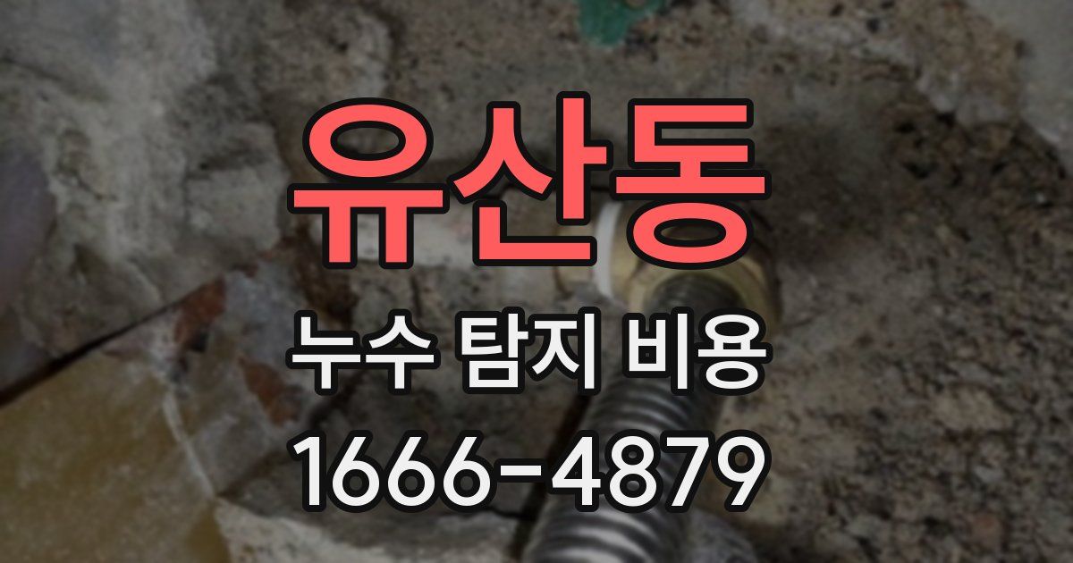 유산동 누수 탐지 비용