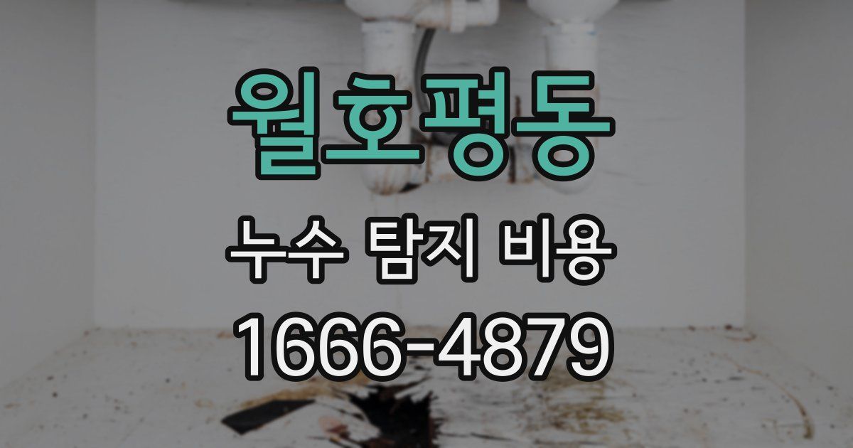 월호평동 누수 탐지 비용