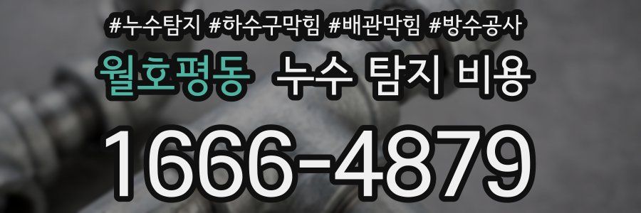 월호평동 누수 탐지 비용