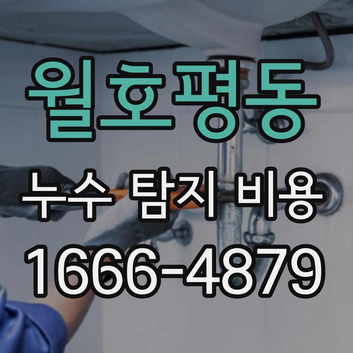 월호평동 누수 탐지 비용