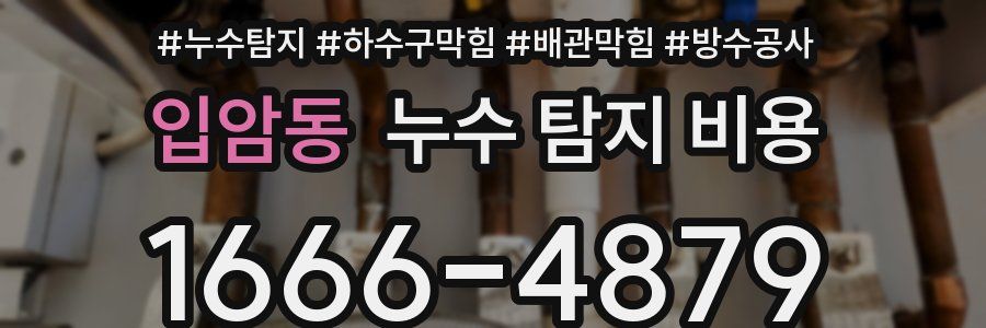 입암동 누수 탐지 비용