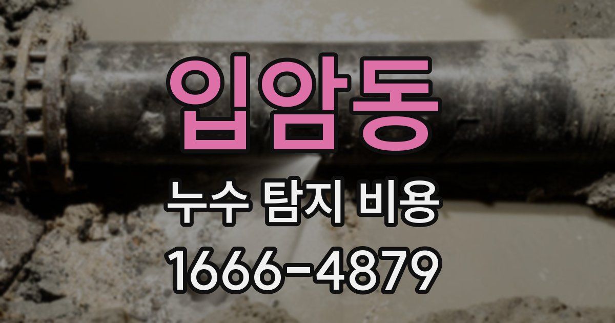 입암동 누수 탐지 비용