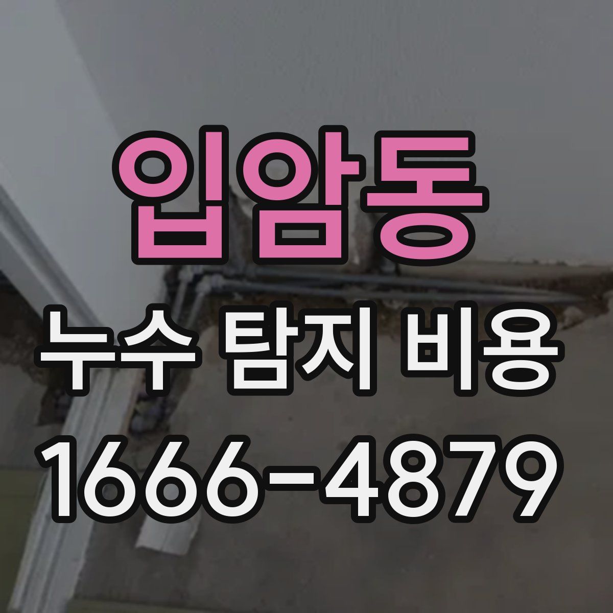 입암동 누수 탐지 비용