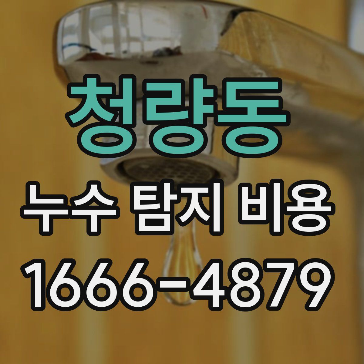 청량동 누수 탐지 비용
